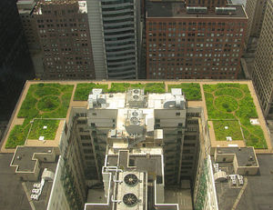 Green roof 