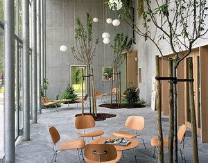 Plants green interior design ideas 17